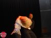 Lambada_Zouk_Show_Ritmo_Rico_3.jpg