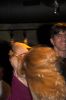 samba_zouk_show_luis_adriana_nancy-37.jpg